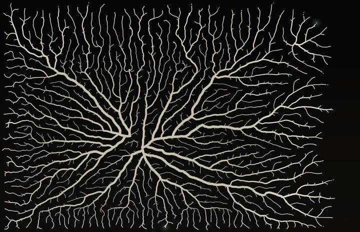 Mycelium preview