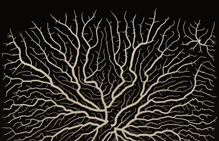 Roots preview