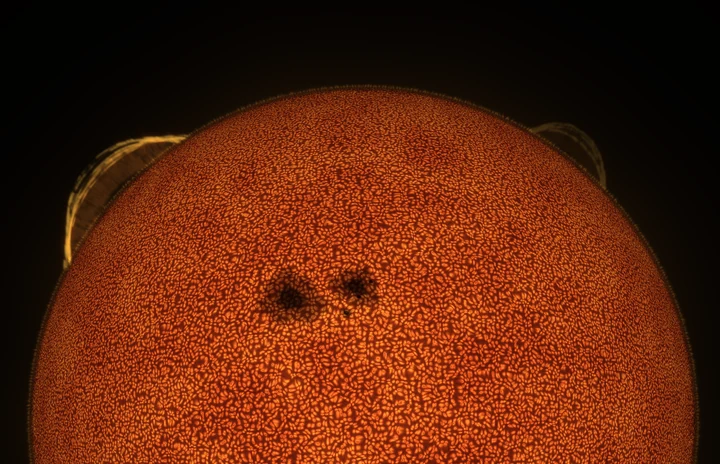 Corona preview